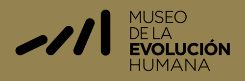 Logo of the Museum of Human Evolution